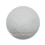 Custom Pet Fetch Toy Tennis Ball (4CP) - 9
