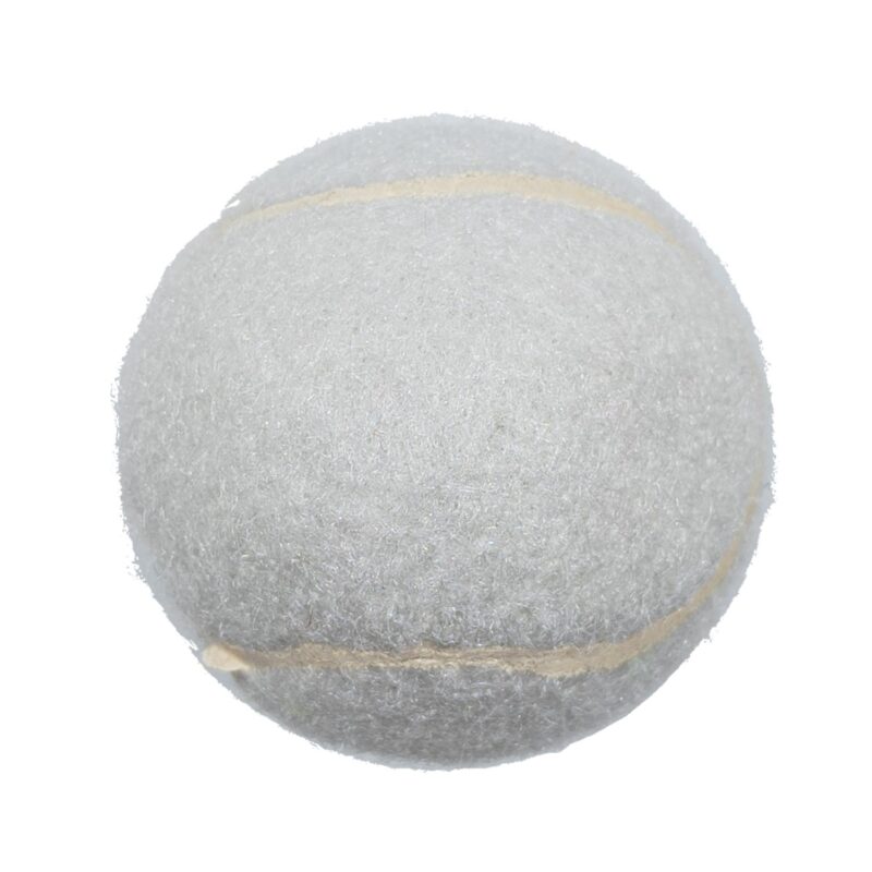 Custom Pet Fetch Toy Tennis Ball (4CP) - 9