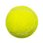 Custom Pet Fetch Toy Tennis Ball - 1