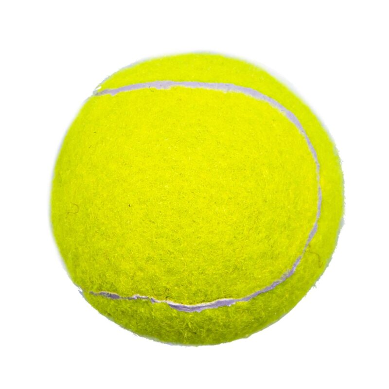 Custom Pet Fetch Toy Tennis Ball - 1