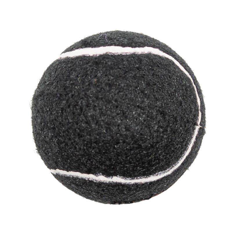 Custom Pet Fetch Toy Tennis Ball - 2