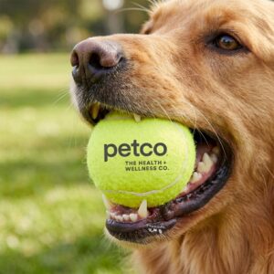 Custom Pet Fetch Toy Tennis Ball