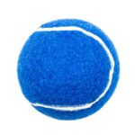Custom Pet Fetch Toy Tennis Ball - 4