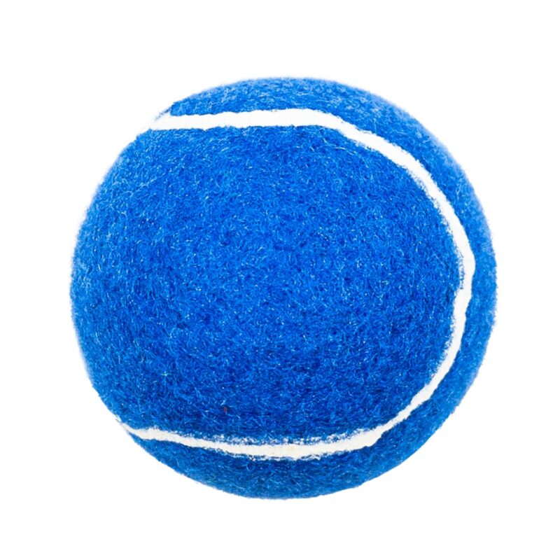 Custom Pet Fetch Toy Tennis Ball - 4