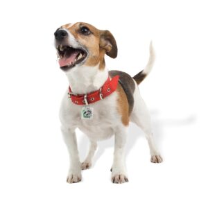 Custom Pet Tag Silencer