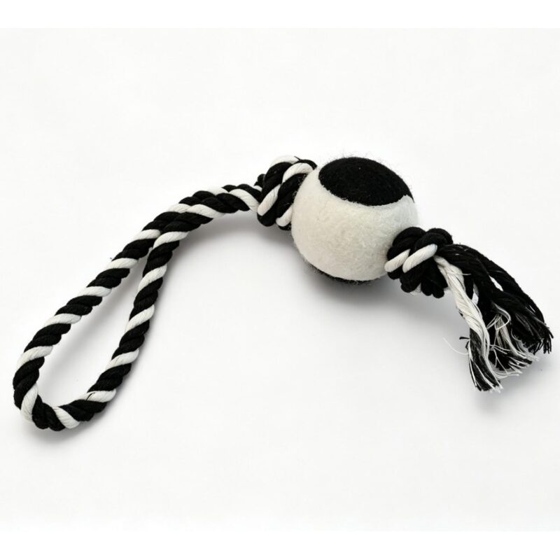 Custom Pet Tennis Ball on Rope - 2
