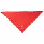 Custom Pup-Pet Bandana - 4