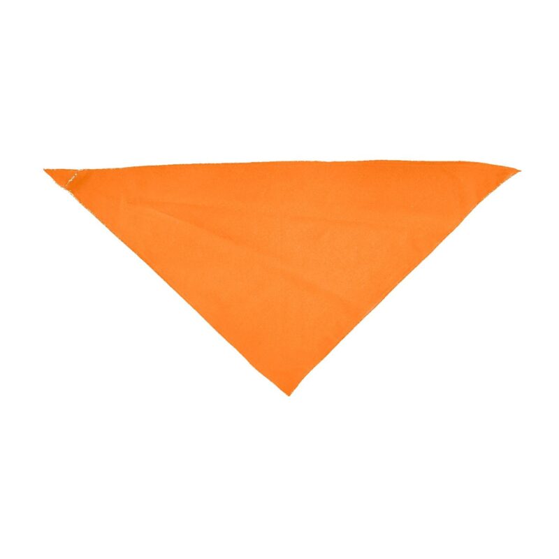 Custom Small Triangle Pet Bandana with Screen Print - 1