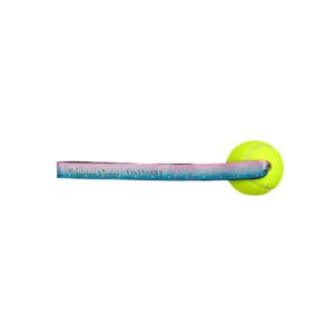 Custom Sublimated Tennis Ball Toss Toy