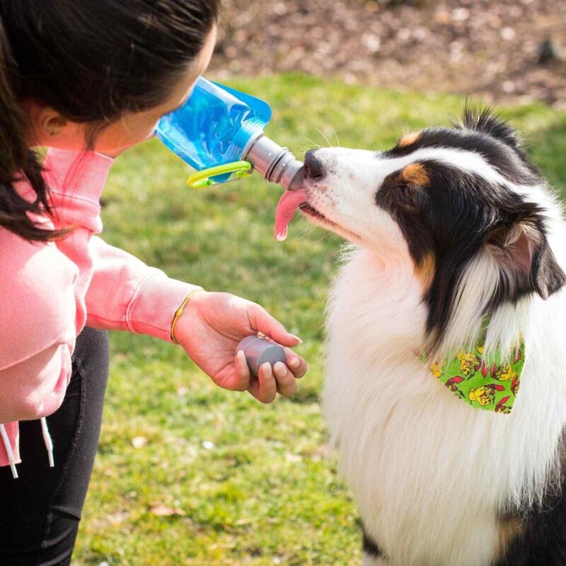 Custom Vapur® Ez Lick Portable Dog Water Bottle - 7
