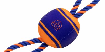 Custom Tug 'N Play Ball & Rope Dog Toy